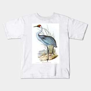 Australian Crane (Grus Australasianus) Kids T-Shirt